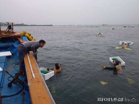 제주도 “돈 안되는 수산종자 방류사업 이제 그만”