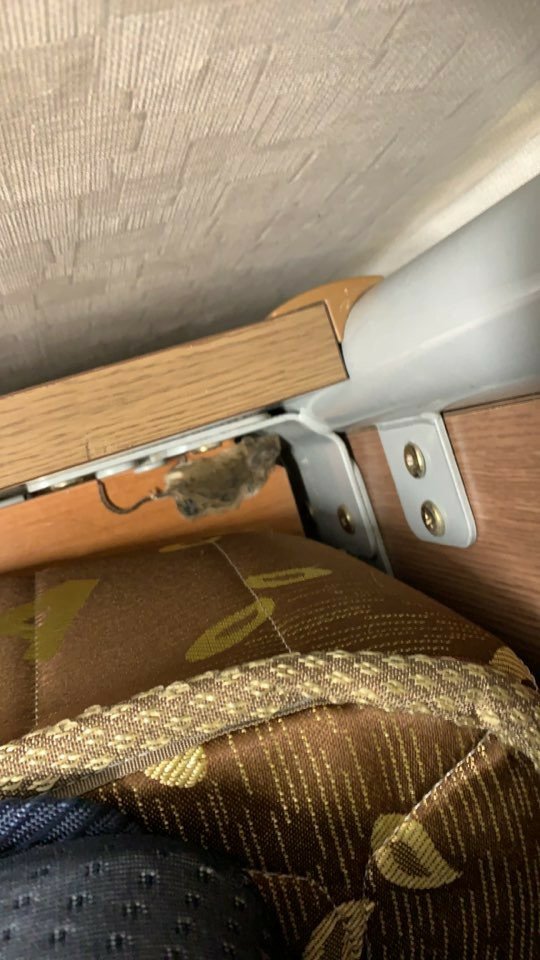 전북과학고 기숙사에 뱀, 쥐 사체, 지네 등 발견 ‘개선 시급’