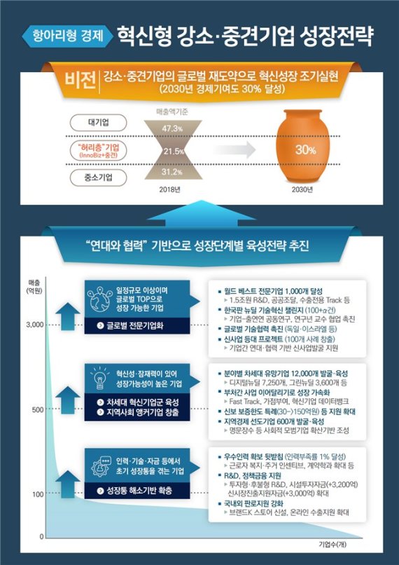 12일 정부는 관계부처 합동 혁신형 강소·중견기업 성장전략을 확정했다. 산업통상자원부 제공