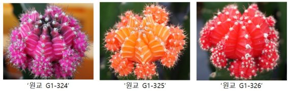 /사진=농촌진흥청