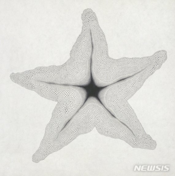 [서울=뉴시스] 차영석. Something_s-63, 2017. Pencil on Korean mulbery paper, 90 x 90 cm.