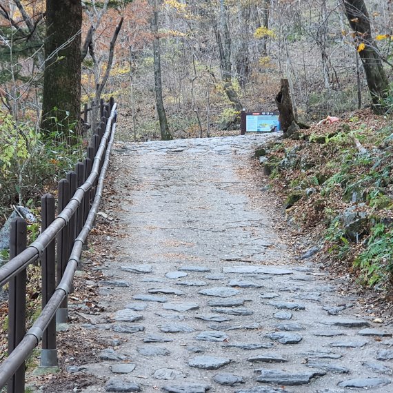 단풍 지는 게 아쉽지 무주 암행어사길 와…풍경 한조각 품으면 돼