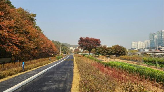 성남시, 궁내동 수도용지 활용 '도시숲길' 조성