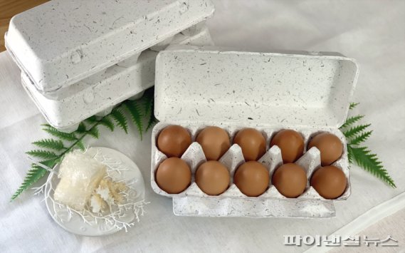 마린이노베이션이 해조류 부산물로 만든 친환경 계란판 /사진=마린이노베이션 제공