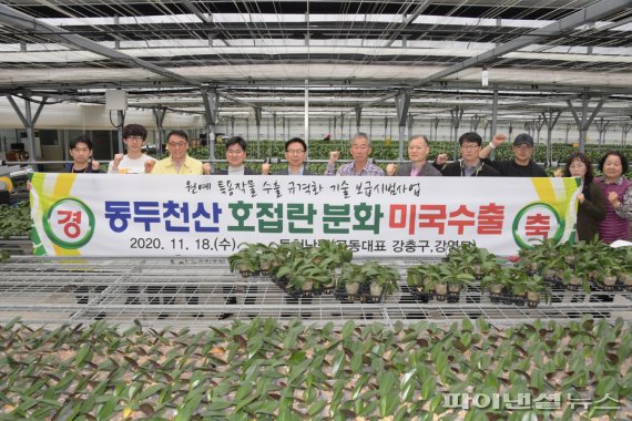 동두천산 호접란 3만본 미국 수출. 사진제공=동두천시