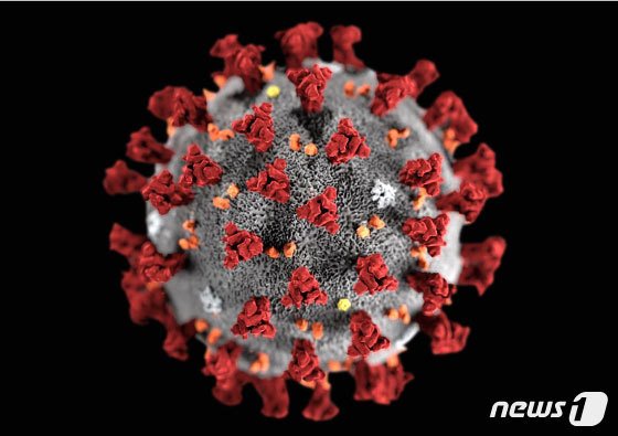 미국 질병통제예방센터(CDC)가 제작한 2019 신종 코로나바이러스 모형도. © 로이터=뉴스1 /사진=뉴스1