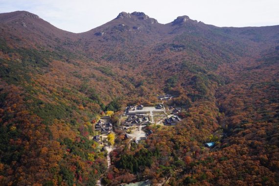 전남도 "전남의 아름다운 사찰서 힐링하세요"