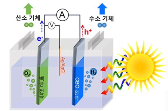 수산화나트륨(NaOH) 전해질에 담겨있는 구리 비스무스 산화물(파란색 전극)은 태양광을 흡수해 전자·정공을 생성, 전자는 전극 표면에서 물과 반응해 수소를 생산하고 정공은 백금 전극(초록색 전극)으로 이동돼 산소기체를 발생시킨다. 아주대 조인선 교수 제공