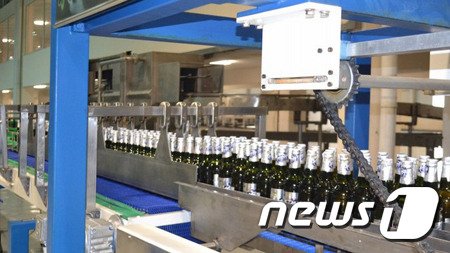 북한이 나선시에 맥주 공장을 세워 '두만강 맥주'를 출시했다고 선전매체 '메아리'가 1일 보도했다. (메아리 갈무리)© 뉴스1
