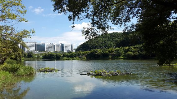 최주선 삼성디스플레이 신임 사장, 아산 하천으로 첫 행보 "공장 방류수 수질 개선"