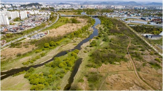 7일 국내 26번째 국가습지보호지역으로 지정·고시된 광주광역시 광산구 황룡강 장록습지 전경. 국내 하천습지 5곳 중 유일하게 도심에 위치하고 있다.