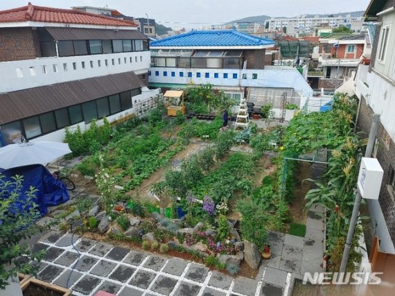 '도시를 가꾸는 텃밭' 생태체험장
