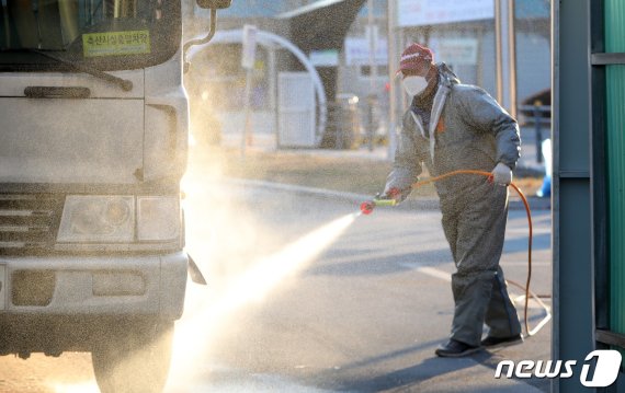 임실·천안·구미에서 고병원성 AI 3건 확진