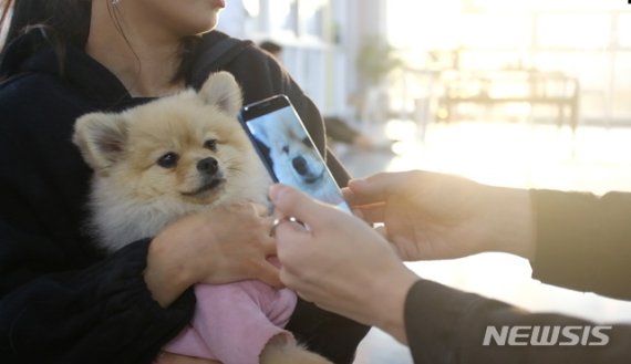 [울산=뉴시스] 구미현 기자 = UNIST는 학생창업기업 파이리코가 한국인터넷진흥원(KISA)과 공동으로 신규 제안한 다중 바이오인식 기반 반려동물 개체식별 기술이 국제표준과제로 채택됐다고 12일 밝혔다. 반려동물을 대상으로 바이오 인식을 진행하고 있는 모습. 2020.04.12. (사진=UNIST 제공)photonewsis.com
