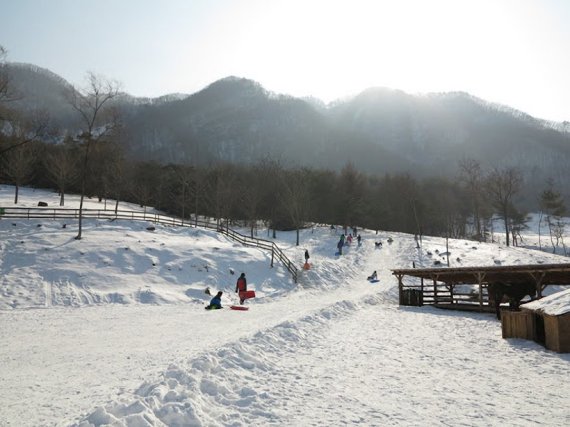 추운 겨울에 딱인 6차산업 체험 여행지 인기