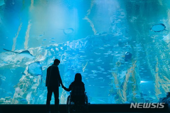 [서울=뉴시스]영화 '조제' 스틸. (사진=워너브러더스 코리아 제공) 2020.12.09. photo@newsis.com