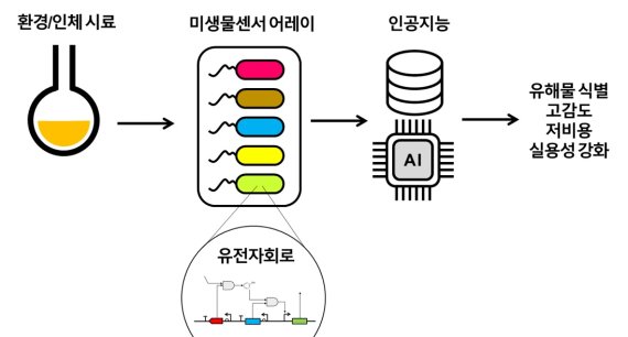 환경이나 인체로부터 채취한 시료를 유전자회로가 탑재된 미생물 바이오센서에 반응시킨 후 수집된 반응 패턴을 인공지능에 학습시키고 검사 시료에 어떤 유해물이 얼마나 있는지 알아낼 수 있다. 생명공학연구원 제공