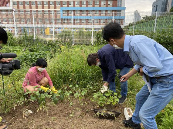 인천경제자유구역(IFEZ) 글로벌센터가 IFEZ 거주 외국인들에게 편리한 정착과 코로나19로 인한 불안, 스트레스 등을 치유하기 위해 텃밭 가꾸기 등 다양한 행사들을 개최하며 외국인들 소통 창구 역할을 하고 있다. 인천경제청 제공.