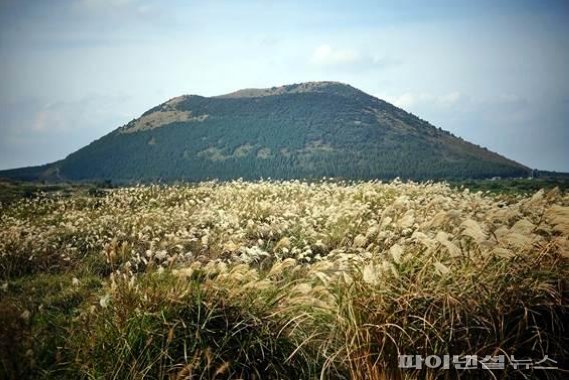 제주 용눈이오름 [사진=제주관광공사 제공]