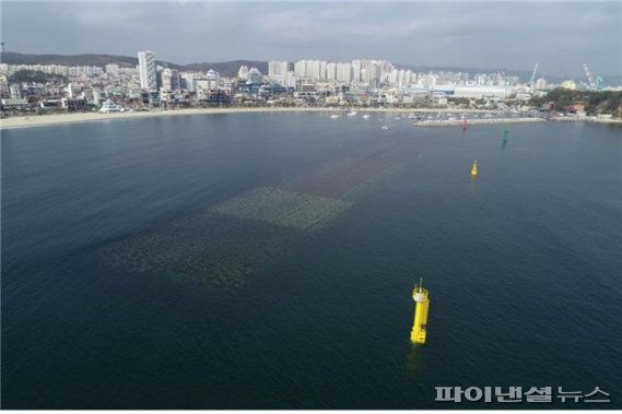 울산 일산해수욕장에서 60대 여성 변사체