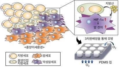 (출처=뉴시스/NEWSIS) /사진=뉴시스