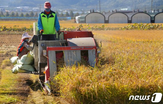 '공깃밥=1000원' 공식 깨지나..쌀 생산량 52년만 최저치