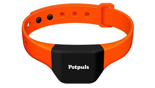 국내 업체 너울정보가 선보인 반려견 감정 번역기 펫펄스