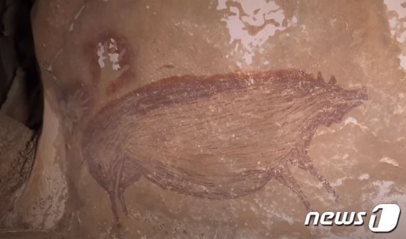 세계에서 가장 오래된 멧돼지 동굴벽화 발견
