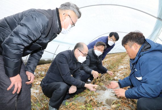 유찬형 농협 부회장, 폭설·한파 피해 전북 방문