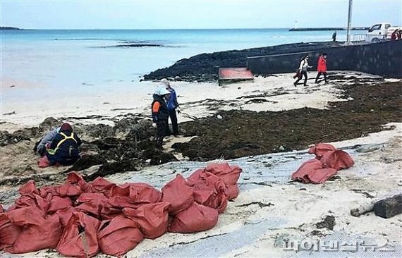 제주도 연안으로 밀려든 중국발 괭생이모자반 수거작업 /사진=fnDB