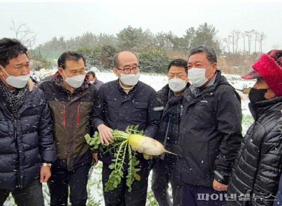 [fn포토] 제주 월동채소 언 피해 현장 찾은 유찬형 농협 부회장