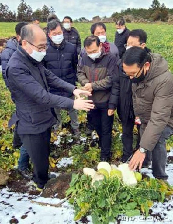 [fn포토] 제주 월동채소 언 피해 현장 찾은 유찬형 농협 부회장