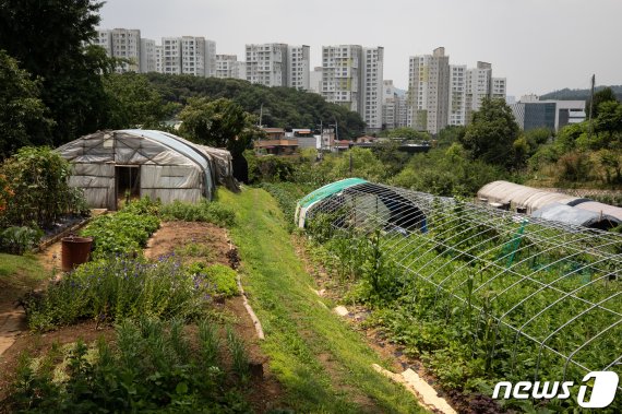 서울 서초구 내곡동 일대 개발제한구역 전경.(뉴스1 자료사진)2020.7.16/뉴스1 © News1 유승관 기자