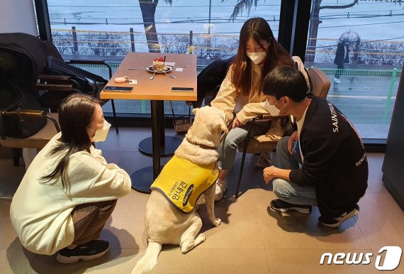 서울 광진구 카페에서 만난 시각장애인 유튜브 크리에이터 김한솔씨(27), 허우령씨(22)와 PD 김소희씨(25) © 뉴스1 강수련 기자