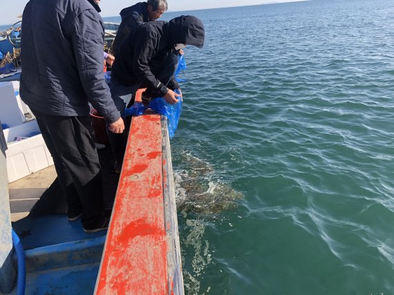 충남도 ‘수산종자 방류’ 어업 소득향상 효과 높다