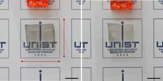 UNIST 백종범 교수팀이 유기 고분자 구조체를 반도체 트랜지스터 소자(FET)로 사용할 수 있도록 얇은 필름 형태로 만들었다. 이 새로운 디스플레이 재료는 염화수소(HCl)를 첨가해 전기전도도가 140배 향상됐다. UNIST 제공