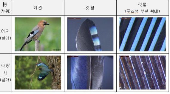 국립생태원, 조류 깃털 모방 디스플레이 기술 개발