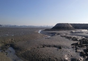 국립해양조사원 "갯골 사고 막는다" 인천·태안·순천만 '갯골분포도' 제작