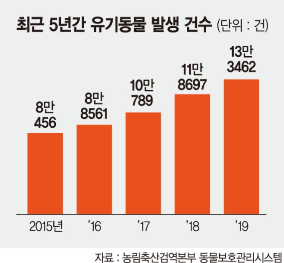 댕댕이·냥이 버려질라… 반려동물 코로나 확진에 유기 우려