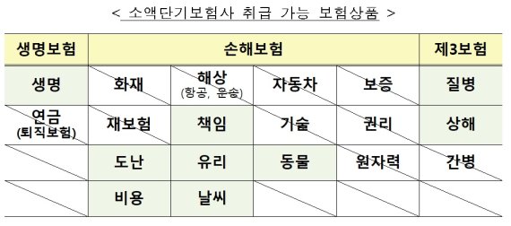 소액단기보험사 취급 가능 보험상품. 자료:금융위원회