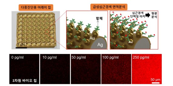 초고감도 급성심근경색 진단용 바이오 칩 사진 및 면역분석 결과. 재료연구원 제공