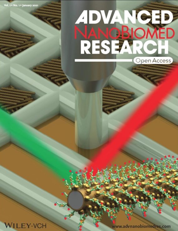 '어드밴스드 나노바이오메드 리서치(Advanced NanoBioMed Research)' 창간호 표지논문에 실린 박성규 박사팀의 3차원 나노바이오센서 칩. 재료연구원 제공