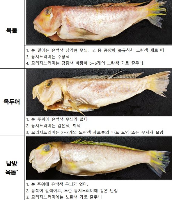 옥돔 둔갑한 옥두어..식약처 "구별하고 사세요"