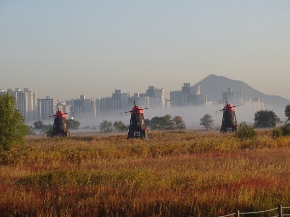 인천시, 소래습지생태공원 일대 국가공원 지정 검토