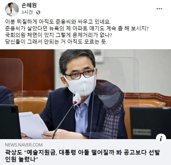 손혜원 전 의원의 페이스북 캡쳐 화면.