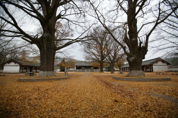 <사진3> 개성 고려성균관 중앙에 자리하고 있는 명륜당과 서재·동재 전경 (미디어한국학 제공) 2021.02.13.© 뉴스1