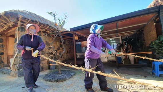 지난 16일 김만덕객주에서 성읍민속마을보존회 회원들이 초가지붕 교체를 위한 집줄놓기를 하고 있다. [사진=제주문화예술재단 제공]