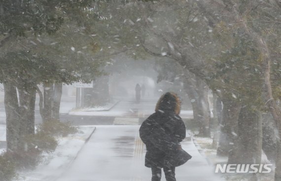 눈이 녹아 비가 된다는 절기 '우수'(雨水)를 하루 앞둔 17일 오후 제주대학교 교정에 눈보라가 치고 있다. 기상청에 따르면 이날 한때 제주 고산 지역에 초속 28.7m의 강한 바람이 부는 등 기상이 악화하고 있다. 2021.02.17. [뉴시스]