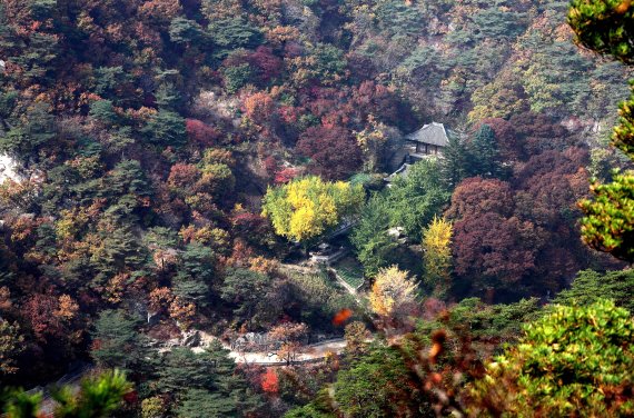 대흥산성 안에 자리 잡고 있는 개성 관음사 전경. (미디어한국학 제공) 2021.02.20.© 뉴스1