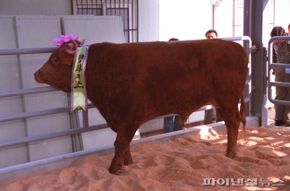 김포 평화의 소. 사진제공=김포시